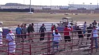 2014 The Great Bull Run Houston - A