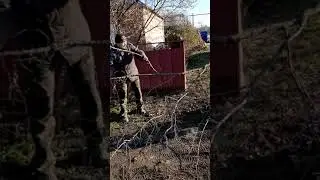 Измельчитель веток отправляем в Пятигорск