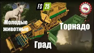 🆕FS25 Gamescom Trailer Official I Farming Simulator 25👨‍🌾🚜 #farmingsimulator25  #fs25 #farming