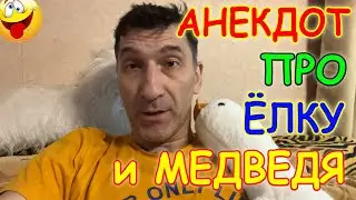 Смешной Анекдот про Ёлку, Медведя и Сосну