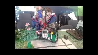 Юные серовчане стали бронзовыми призерами на Всероссийском фестивале по робототехнике «Робофест»