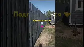 Забор из штакетника