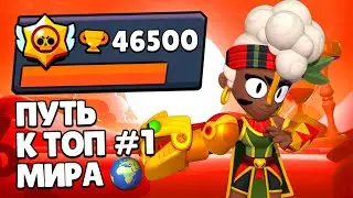 ПУТЬ К ТОП 1 МИРА! Я Играл 24 ЧАСА Чтобы ПРОКАЧАТЬ Аккаунт в Бравл Старс!