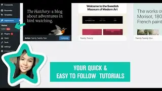 Wordpress Appearance Customize, Widget, Menu and background, theme file Editor are missing