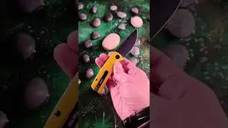 ЖЕЛТАЯ! Beluga mini Petrified Fish 