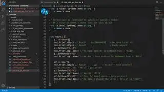 Golang Deep Dive P1 - L28 - Set and Get Functions