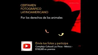 CONCURSO FOTOGRÁFICO LATINOAMERICANO. PROTECCIÓN A LOS ANIMALES