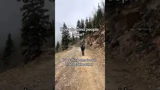 How do blind people hike?