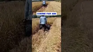 alat combine padi