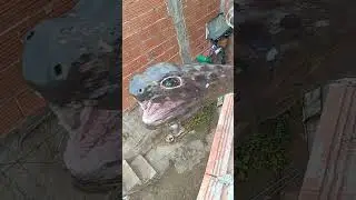 cobra de cimento  se inscreve no canal