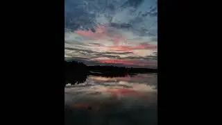 LIZER - 25.дем