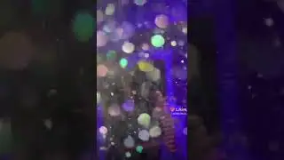 12 сентября 2022 г.