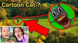 WHO IS STRONGER? CARTOON CAT OR CARTOON DOG?
