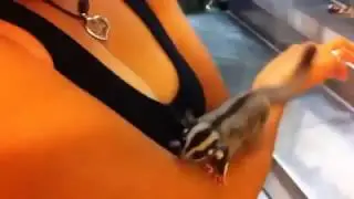 Как найти тепленькое местечко!!!