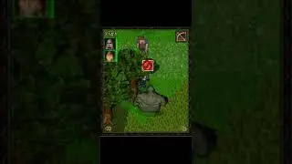 Java игра «Allods: Rage of Mages» - увлекательная пошаговая RPG в фэнтезийном сеттинге 