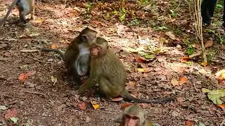 DSCN9991