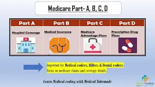 Medicare Basics: Parts A, B, C & D | Medical coding, Denials medicare claims  | Medical tubemade