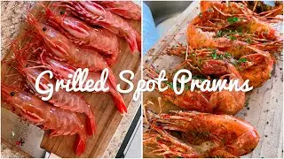 Grilled Spot Prawns ASMR