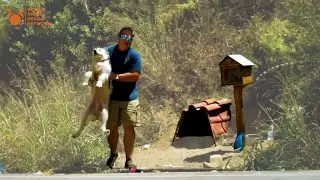 He Stole This Dog From His House on Side of Road As Millions of People Watched Around the World