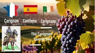 Carignan Connection to The Chevalier de Bayard