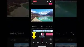 How to translate video captions with Zeemo