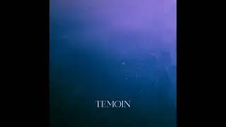 ■Temoin - Dirty Dream (Original Mix)