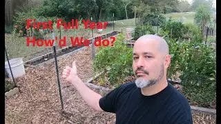 First Full Summer of the Raised Bed Garden, Top Garden Review