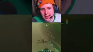the aurora is safe I swear! 