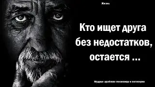 Мудрые арабские пословицы и поговорки