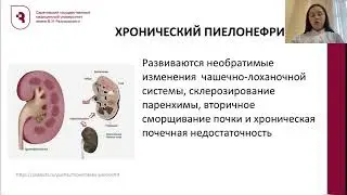 Этиология и патогенез пиелонефрита. Абдрахманова  Ильмира Иршатовна