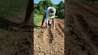 Earth Day - Actual Footage from Hungary