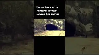 #пионер