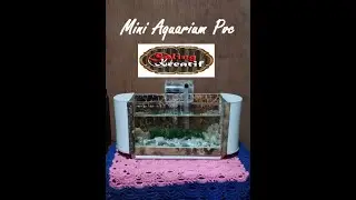 Mini Aquarium PVC#shorts