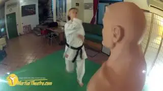 Miky karate VS Bob part 2 preview