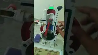Two Stroke Petrol Engine Working 