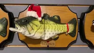 Singing and moving Fish (Christmas version￼)