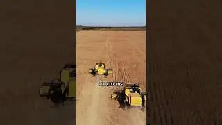 ВЫ ТОЖЕ ЭТО ЕДИТЕ!