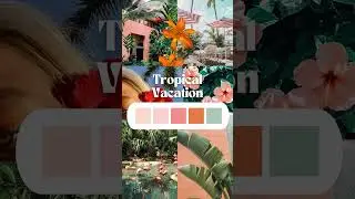 Canva Color Palette Ideas