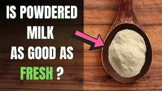 Is Powdered Milk Healthy | Is Powdered Milk Bad For You? | Health Click