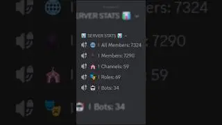 discord server stats 