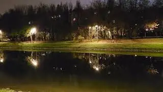 Москва. Новочерёмушкинский пруд. Ноябрь 2022 года.