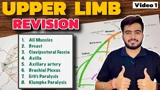 Complete Upper Limb Revision | 1st Year Professional Exams