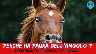 E se ha paura dell'angolo ?