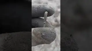 Знахідка з дна річки 