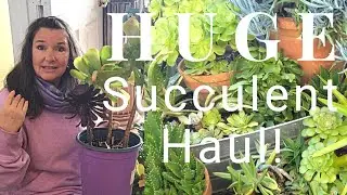 Succulent Garden Tour 2022 & Succulent Haul | How To Decorate Your Patio | Finding Free Succulents