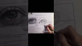 Eye Drawing with Grid