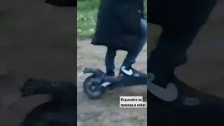 #природа