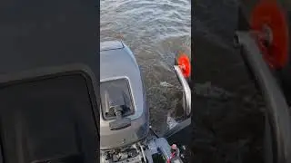 Теперь у меня на транце снова висит YAMAHA 9.9