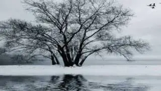 Inverno - Franco Battiato