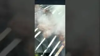 😂прикол шашлык.